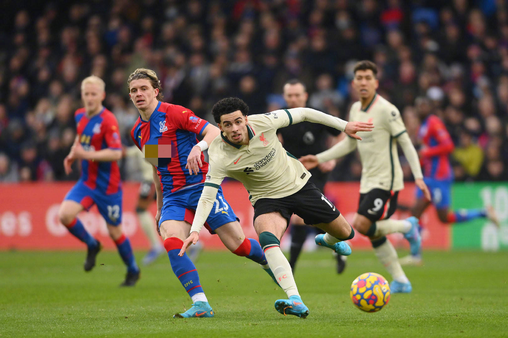 也再次证明 也再次证明